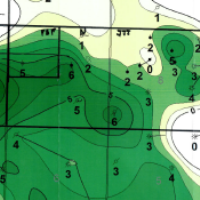 net pay showing opportunities