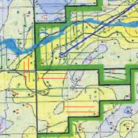 WAG started in the sixties